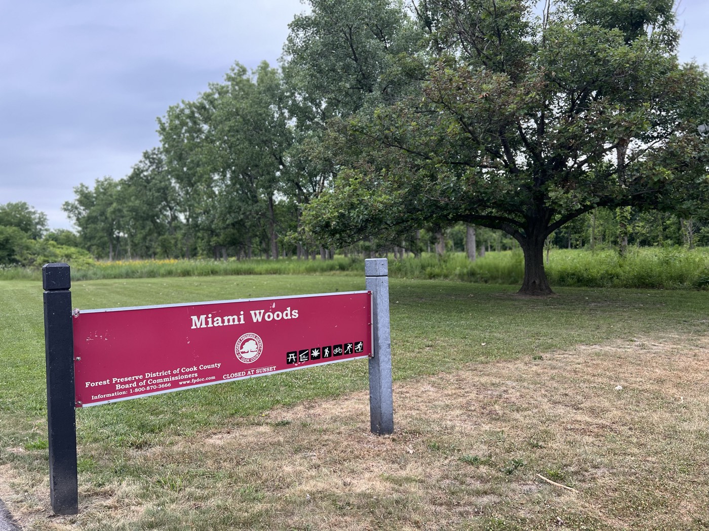Miami Woods forest preserve entrance sign under a large oak along the North Branch in Morton Grove, Illinois